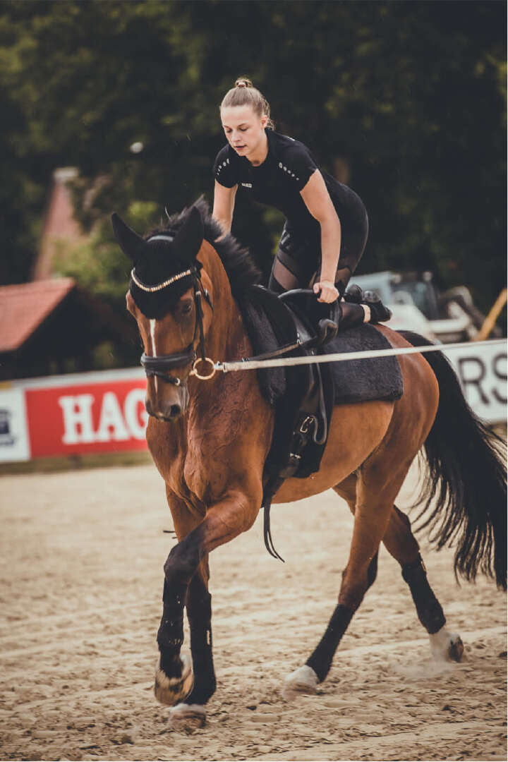 Voltis Handorf Sudmuehle derby community teaserbild Voltis Handorf Sudmuehle derby community teaserbild